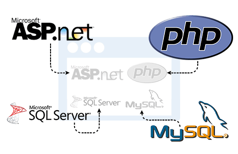 Programming & Database features